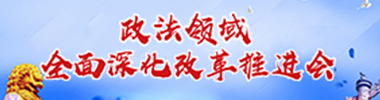 政法领域